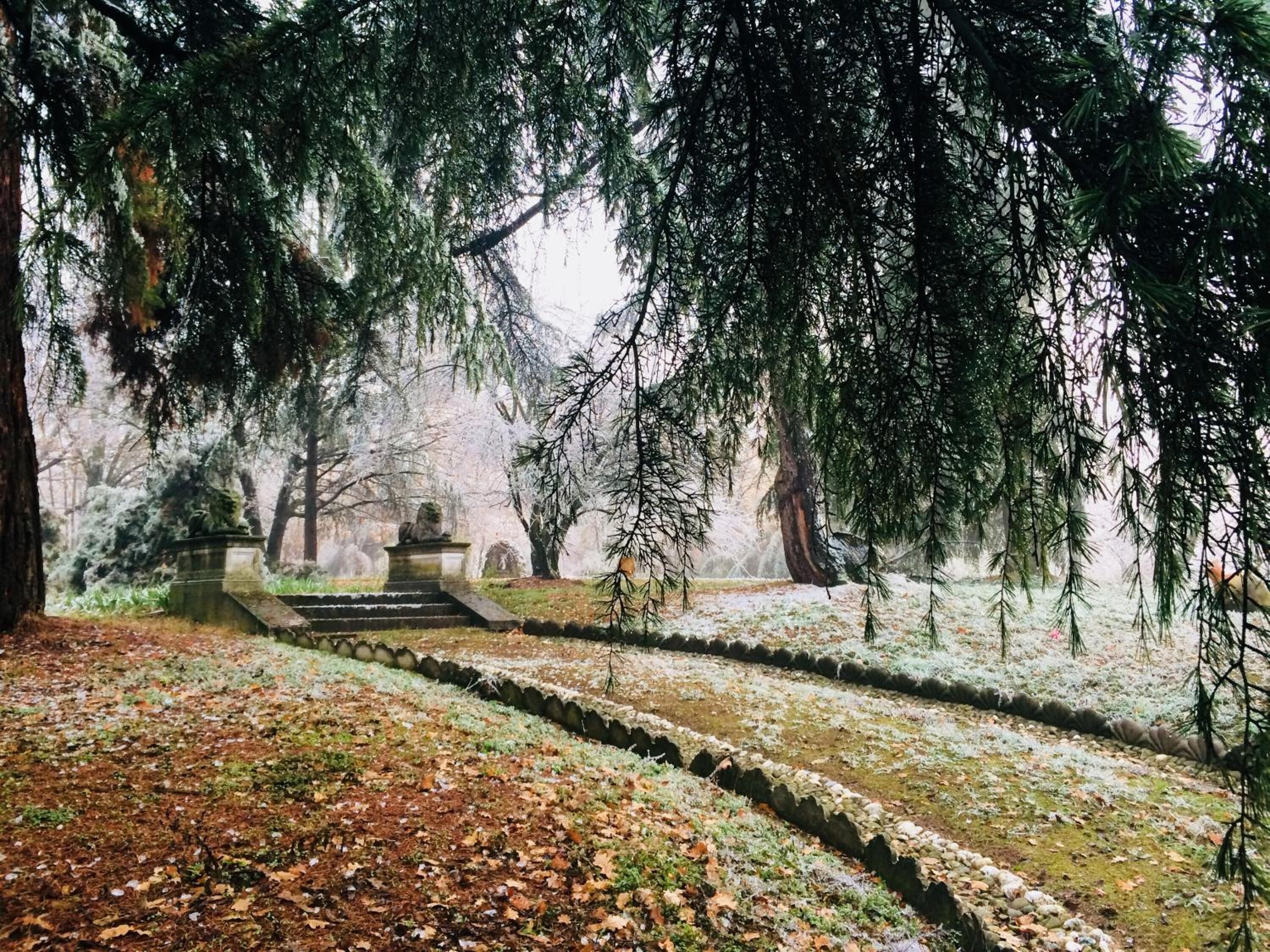 A cemetery with stone monuments and a stone staircase leading to a higher area.