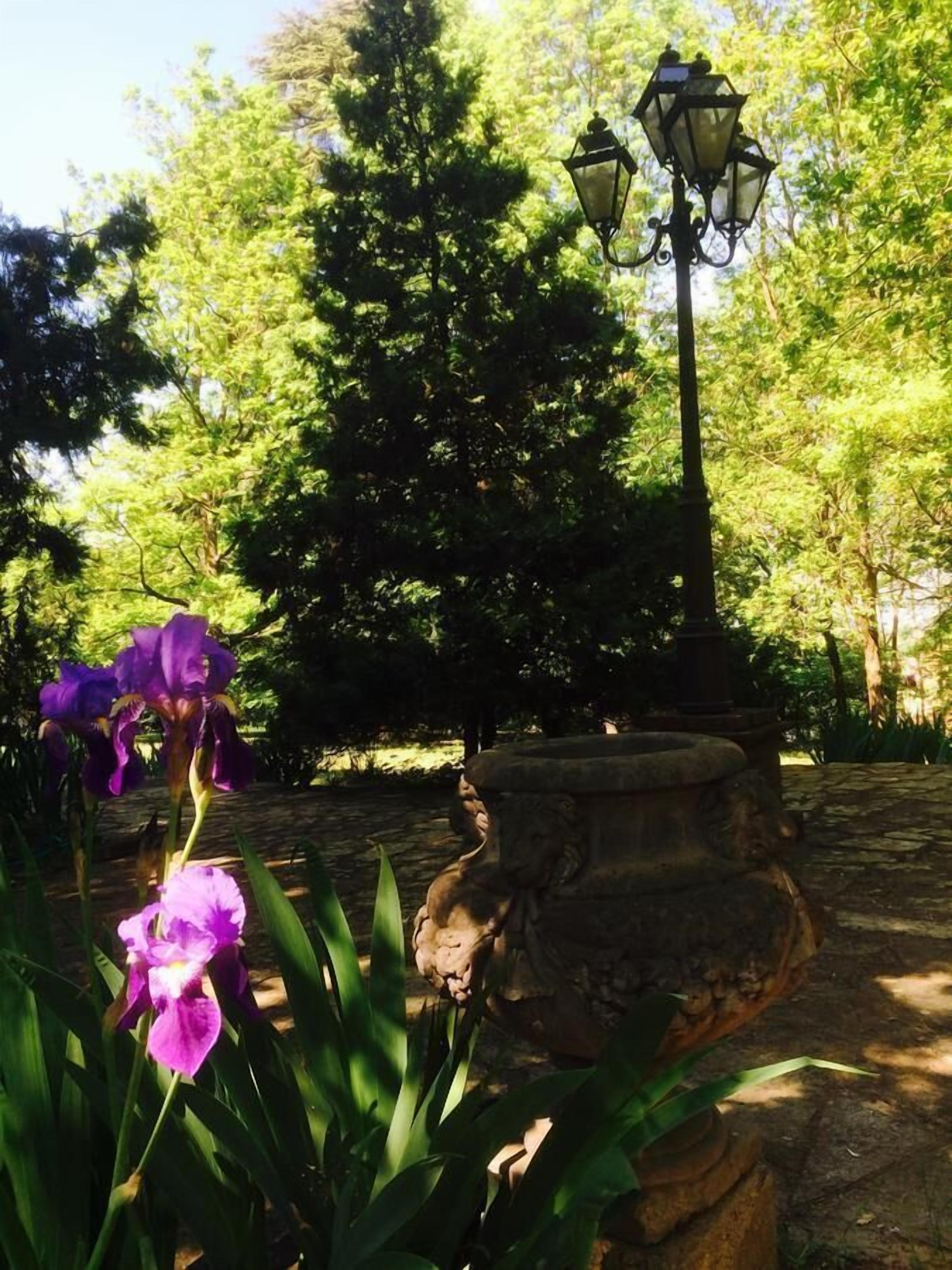 A garden with a stone fountain, a lamppost, and purple flowers.
