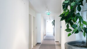 A hallway with white walls, a grey carpet, and a potted plant on the right. - Hotel Kern (Walddorfhäslach)