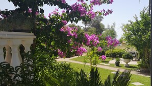 A garden with a pathway, lush greenery, and flowering plants. - Apartments Plava Plaza Daniela (Vodice)
