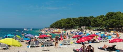 Plage à proximité
