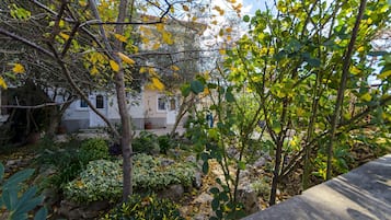 庭園