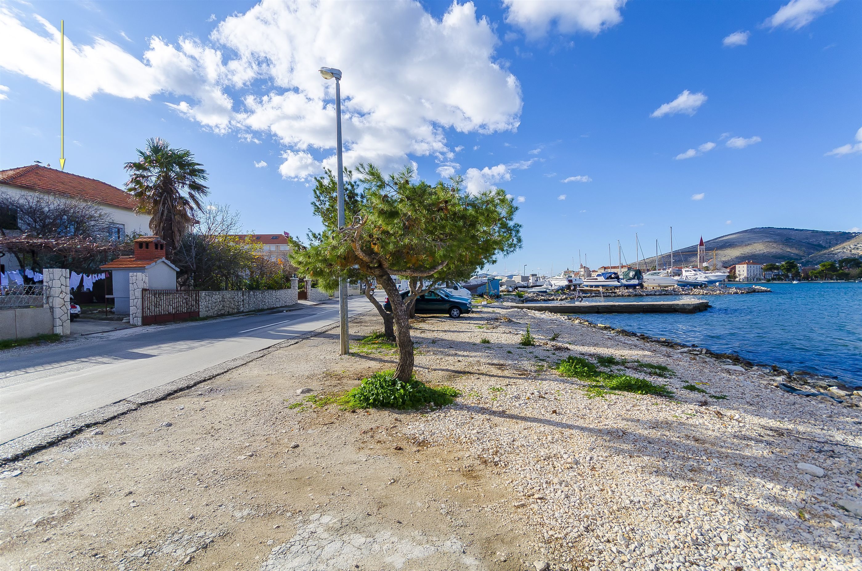 A coastal road with a pebbled beach, a small tree, and a clear blue sky.
