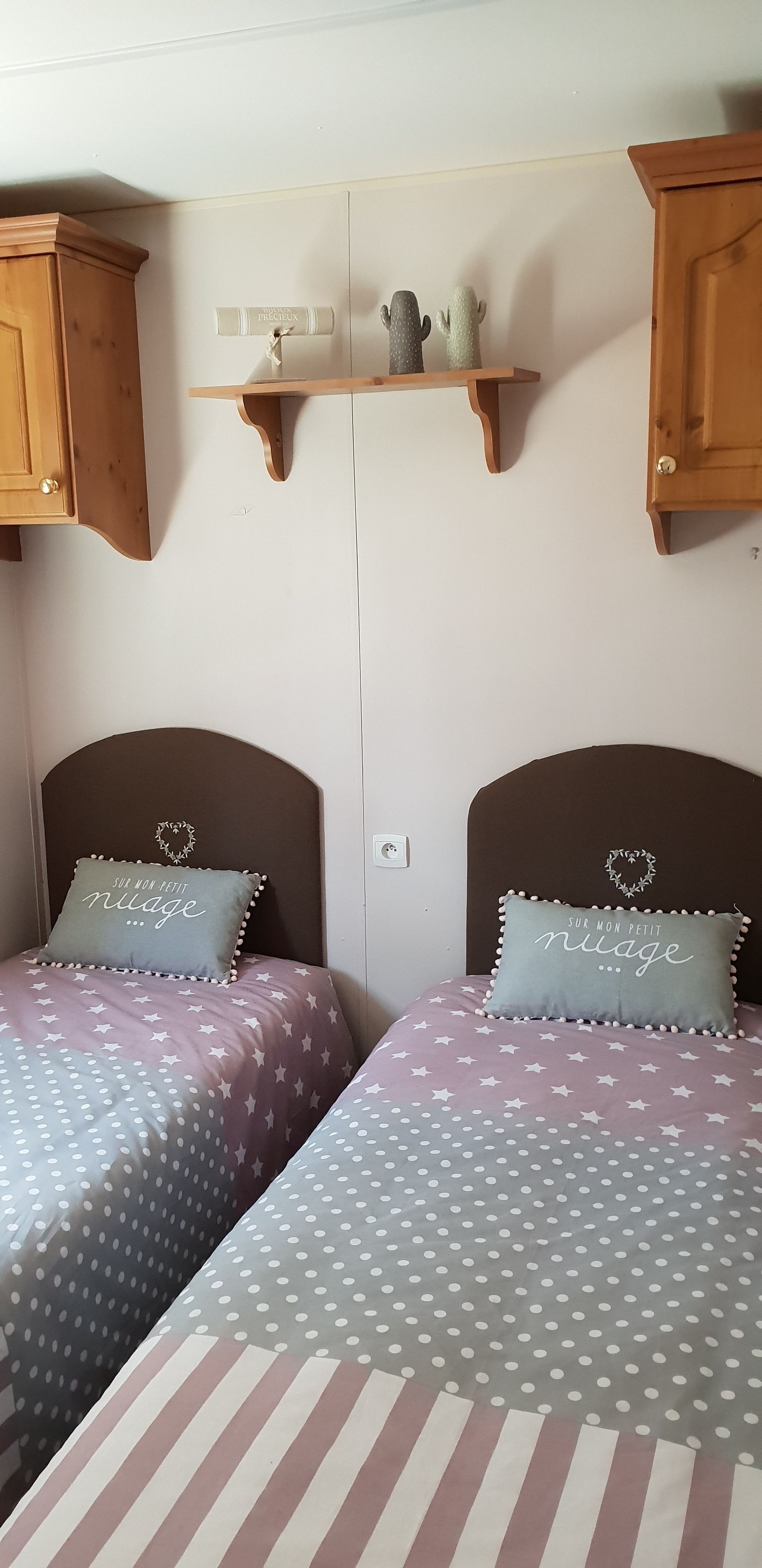 A bedroom with two beds, each with a heart-shaped pillow and a shelf above containing a cactus and a small plant.