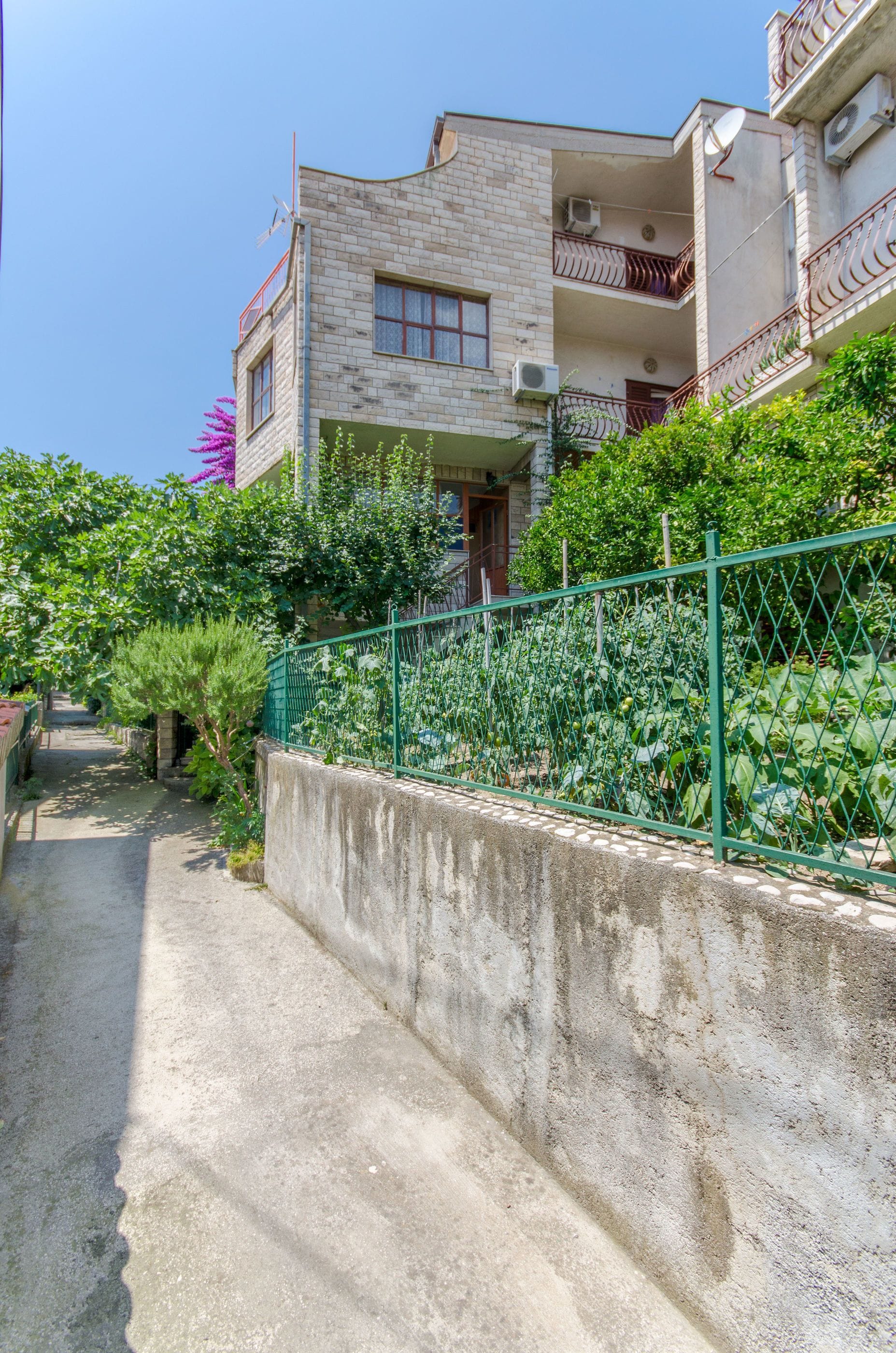 A residential building with a concrete pathway, a green fence, and lush greenery.
