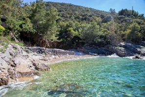 A coastal area with clear water, rocky shore, and dense trees. - Apartment Sanka (Gdinj)