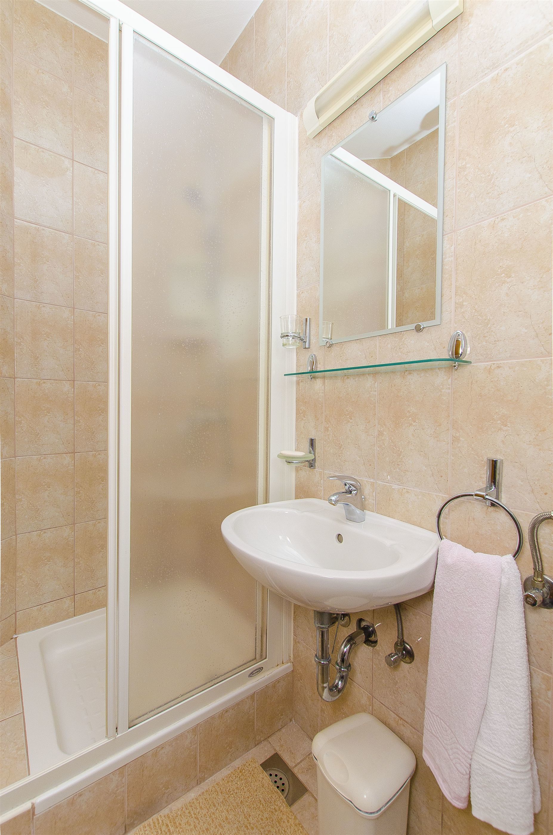A bathroom with a glass shower enclosure, a white sink, and a glass shelf above the sink.