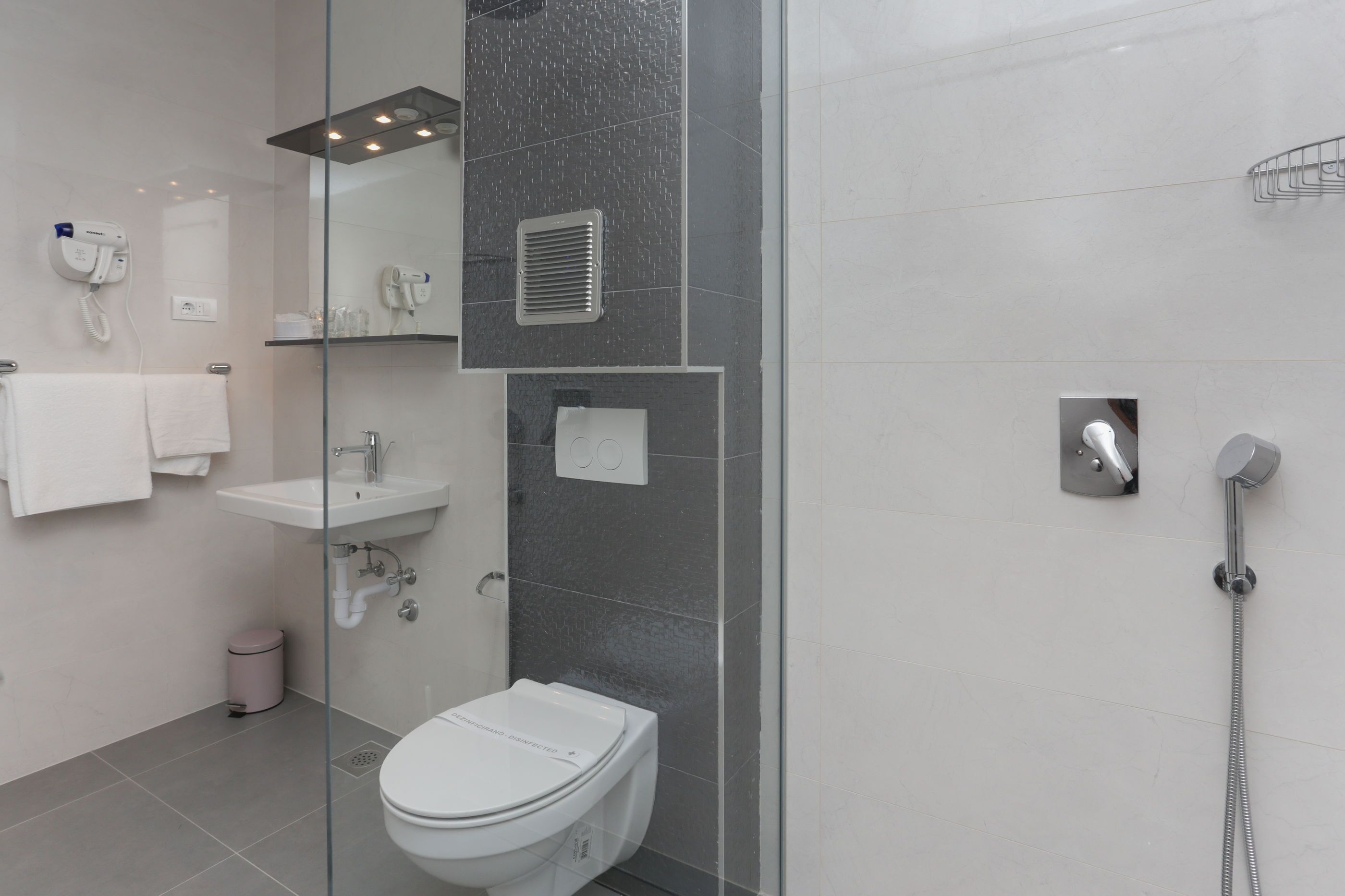 A modern bathroom with a glass-enclosed shower, a white toilet, a sink, and a mirror.