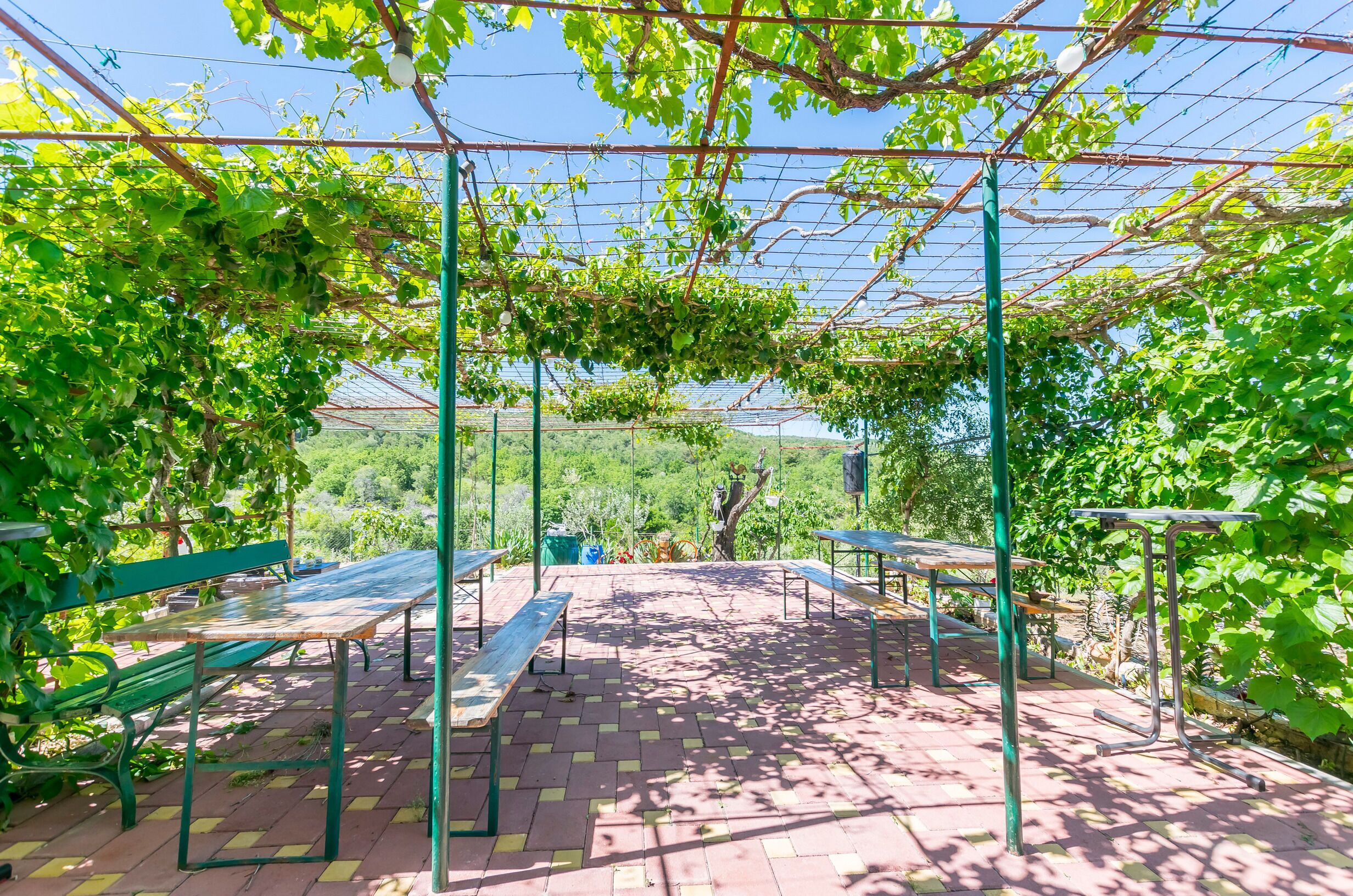 Un espace extérieur aménagé avec des tables et des bancs, installé sous une pergola recouverte de plantes grimpantes.
