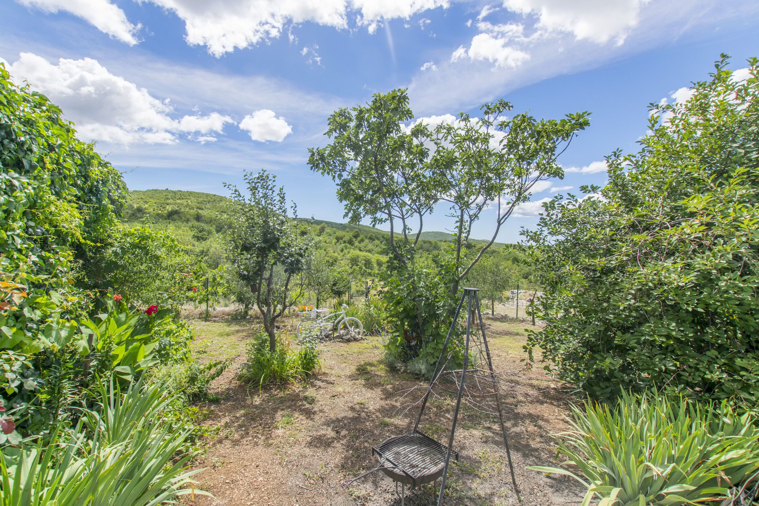 A garden with a swing set, a metal chair, and various plants.