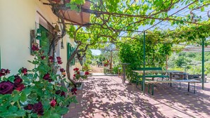 A patio area with a pergola covered in vines, a table and chairs, and potted plants. - House Green Paradise (Vrpolje)