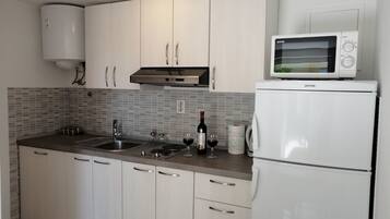 Apartment (A1) | Private kitchen | Fridge, microwave, stovetop, electric kettle