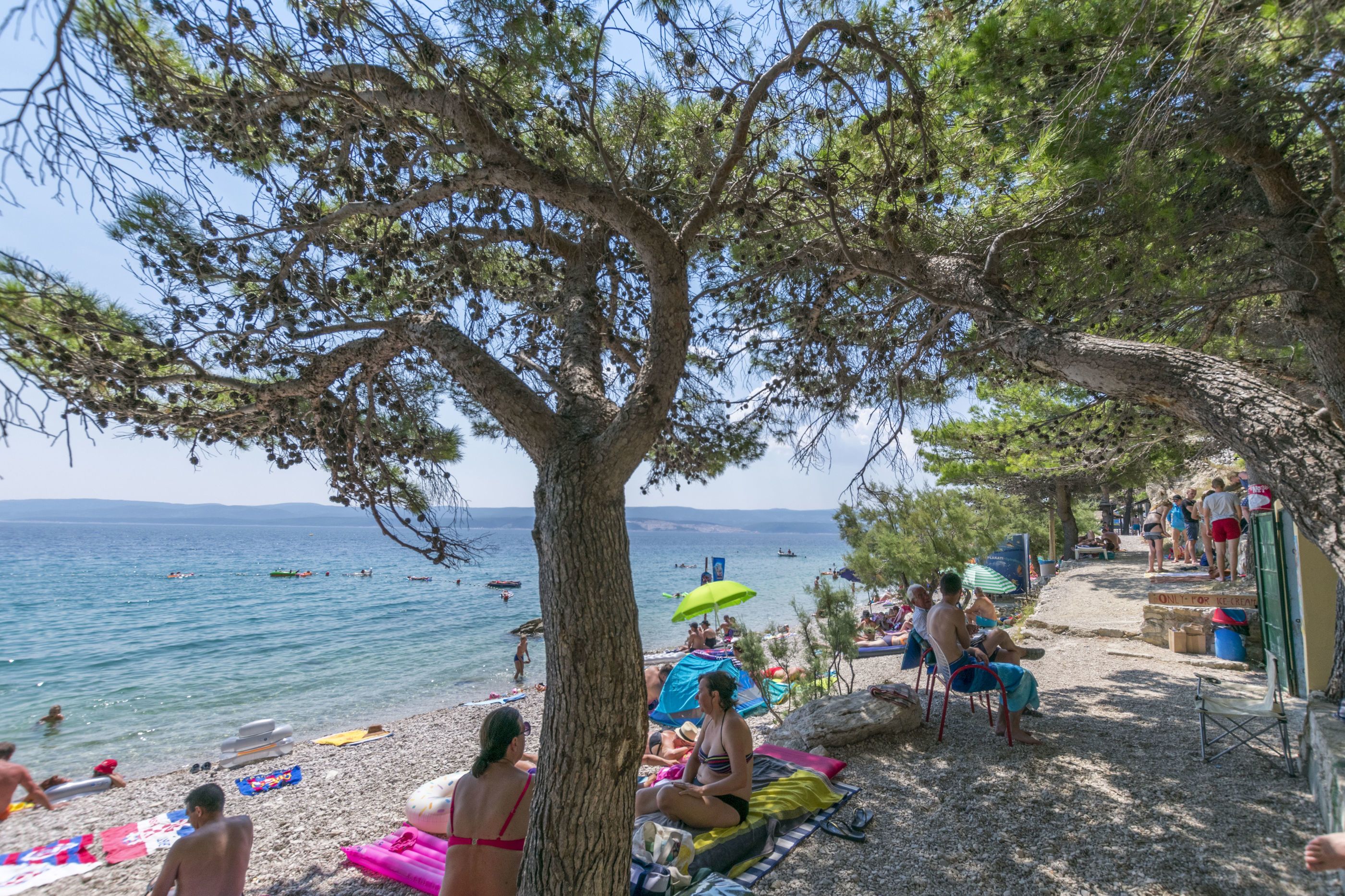 A beach with people relaxing, a tree, and a view of the sea.