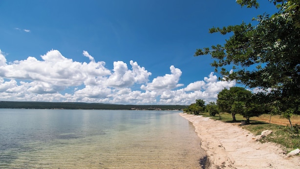 Una playa con agua cristalina, orilla de arena y árboles.