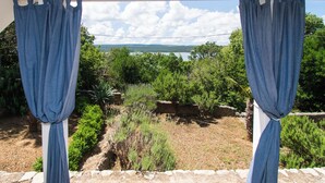 Vista a través de una ventana con cortinas azules, mostrando un paisaje con árboles, arbustos y una masa de agua distante.