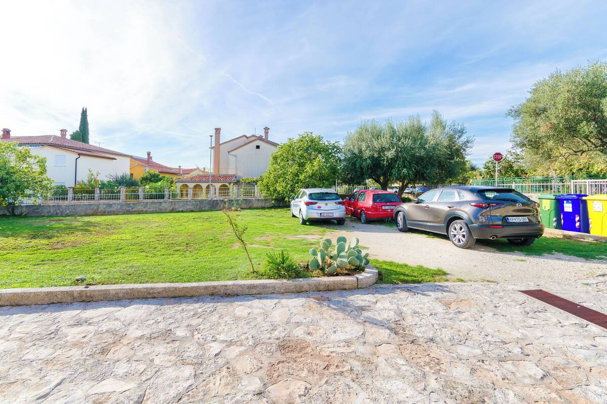 A courtyard with a stone floor, a cactus plant, and parked cars.