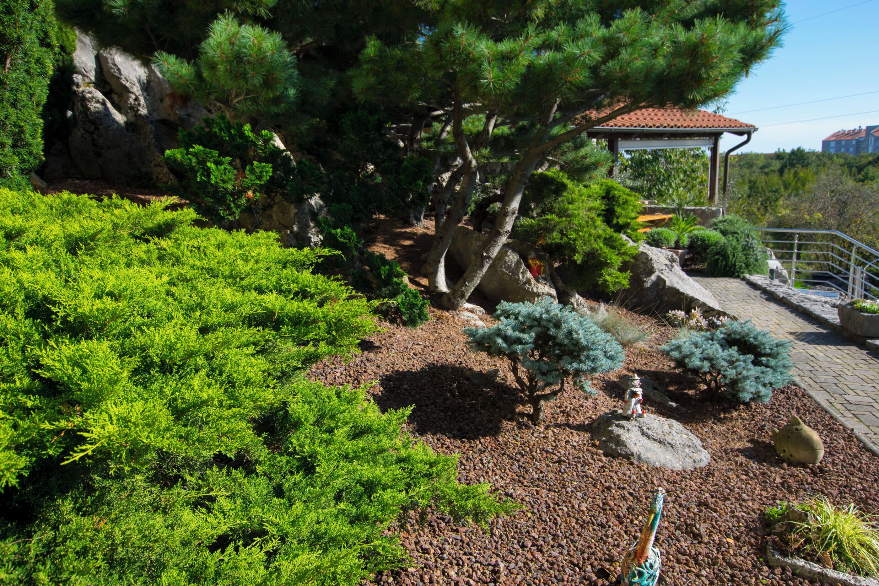 المنطقة المحيطة بالمنشأة