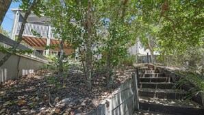 Property grounds - 3 Shearwater St, Peregian Beach, Noosa Area (Peregian Beach)