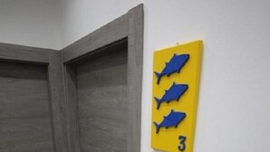 Un pasillo con dos puertas de madera y una pared amarilla con tres siluetas de peces azules y el número 3.