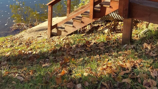 A wooden staircase leading down to a body of water, surrounded by trees with yellow leaves.