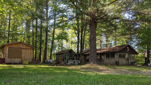 A rustic cabin with a wooden exterior, surrounded by a forest.