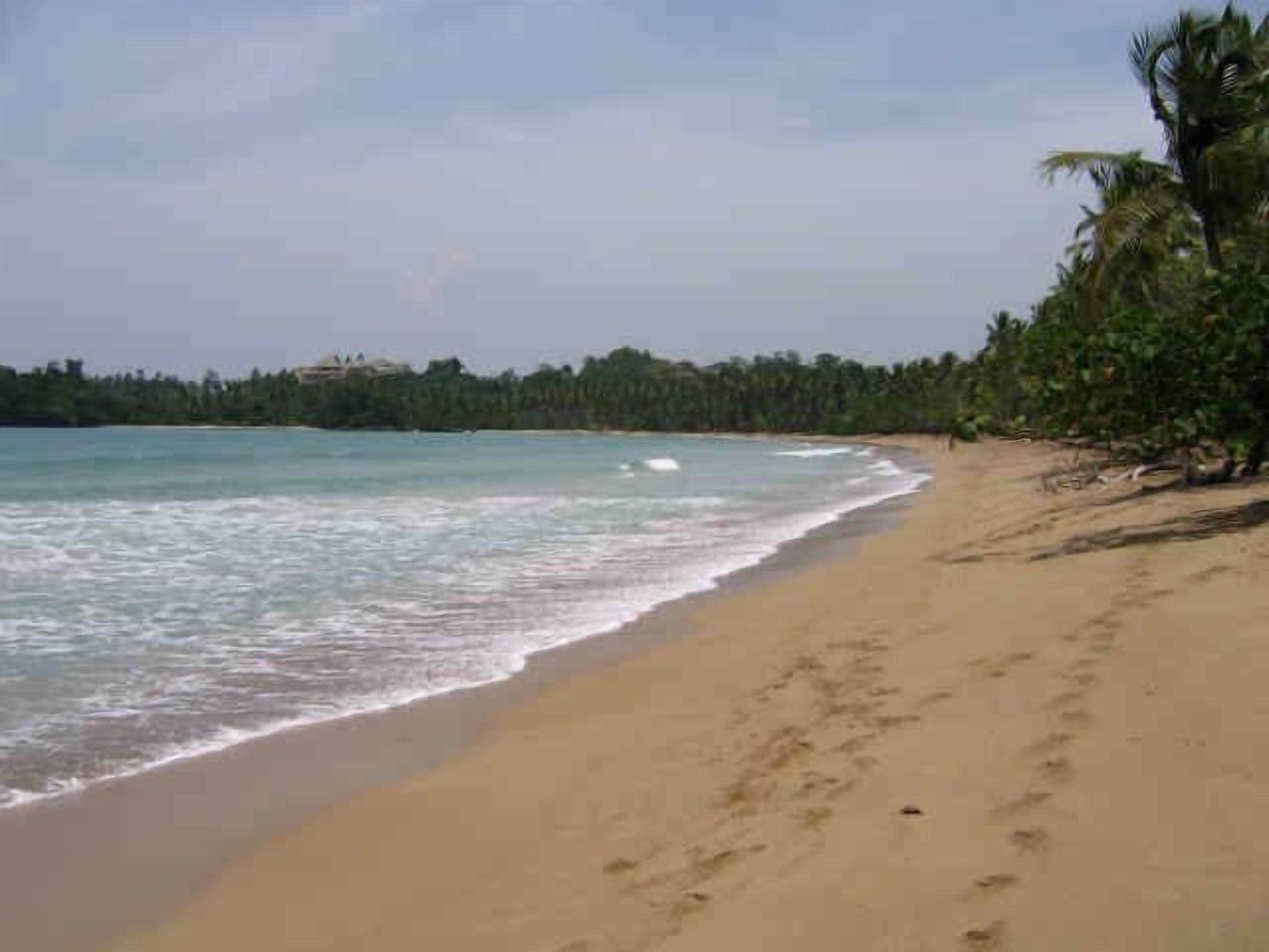 Playa en los alrededores y toallas de playa 