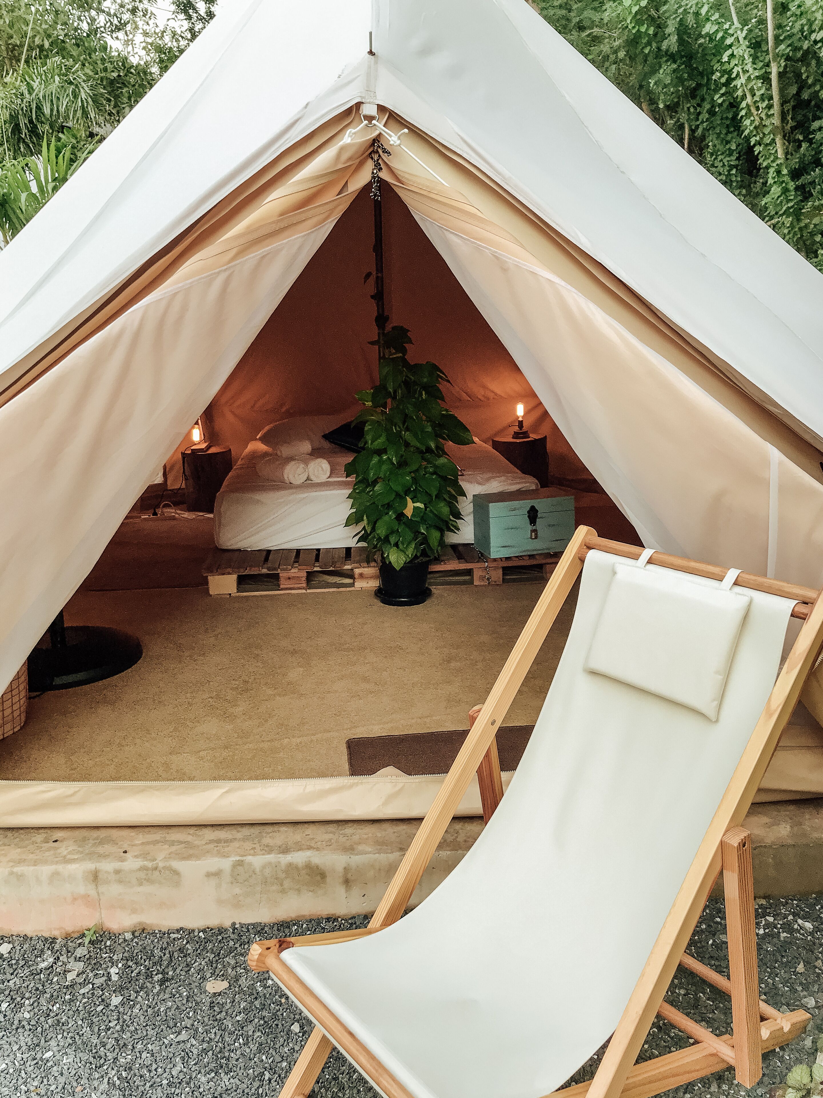 A tent with a bed, a potted plant, a bedside table with a lamp, and a white chair.