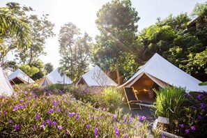 Standaard tent, gemeenschappelijke badkamer, uitzicht op tuin | Uitzicht op de tuin