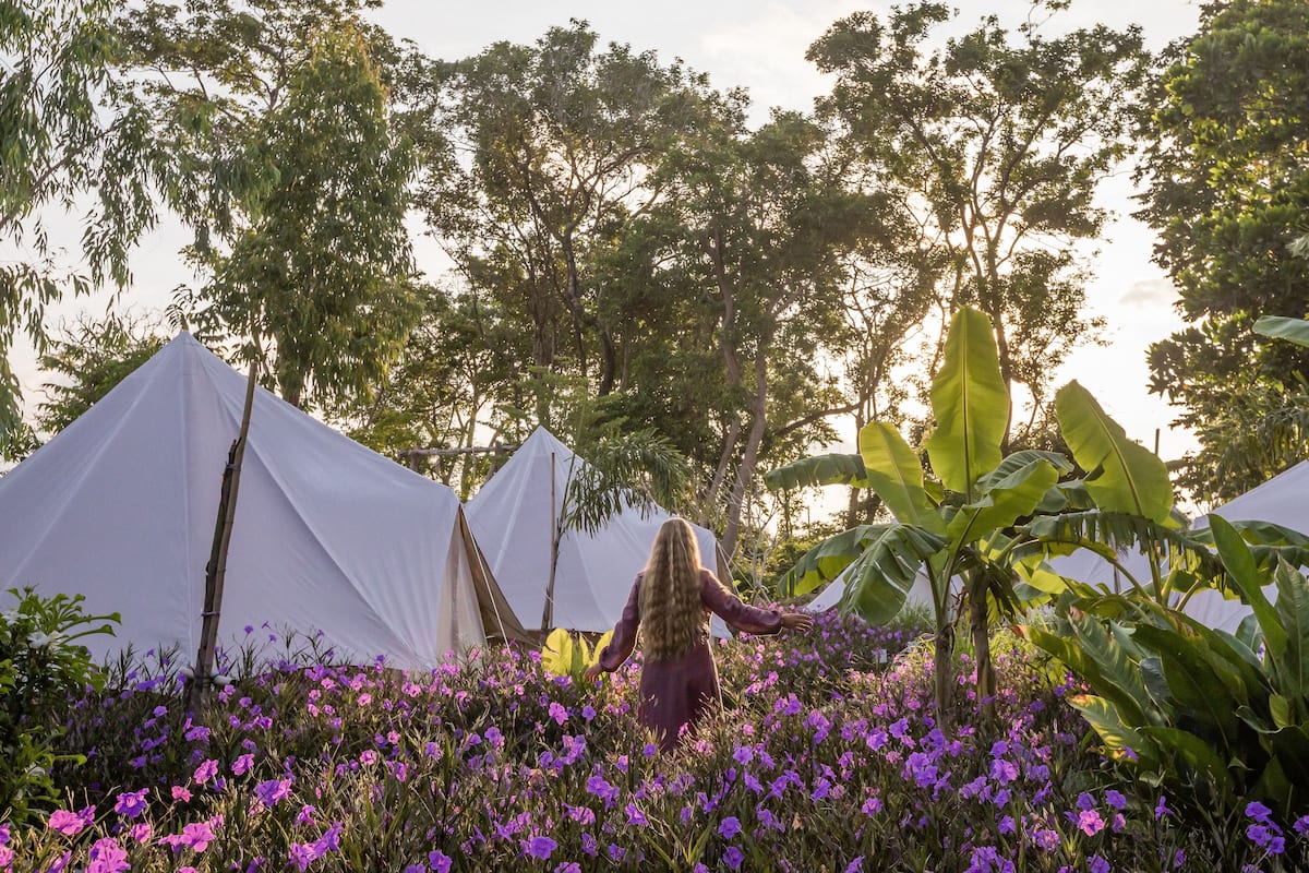 Standard Tent, Shared Bathroom, Garden View | Garden view
