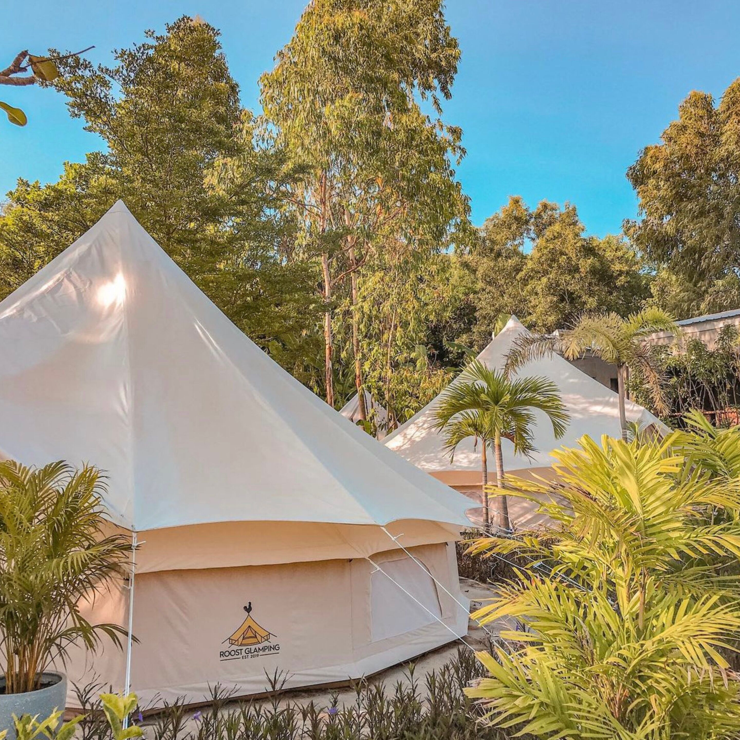 A tented accommodation area with a logo indicating 'Roost Glamping' and a date 'EST 2019'.
