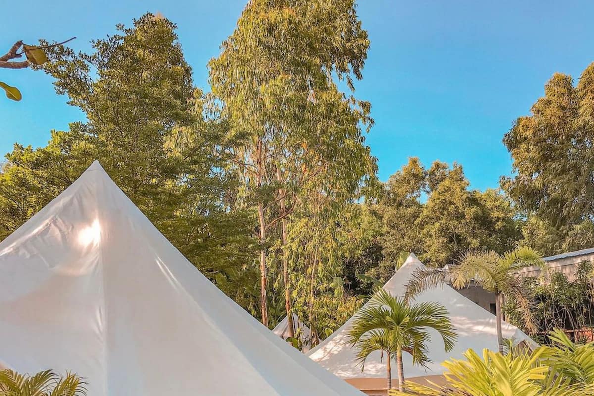 In-room safe, rollaway beds, free WiFi, bed sheets