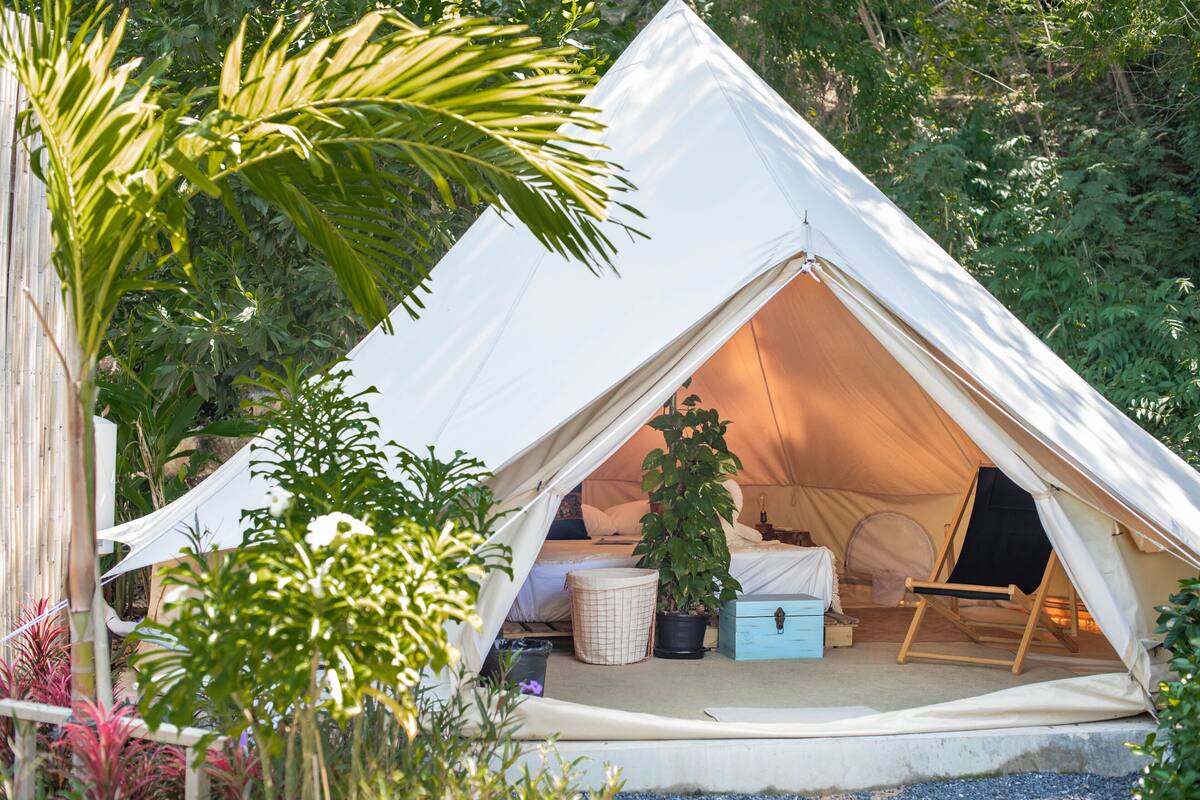 A tent with a bed, a chair, and a potted plant inside.