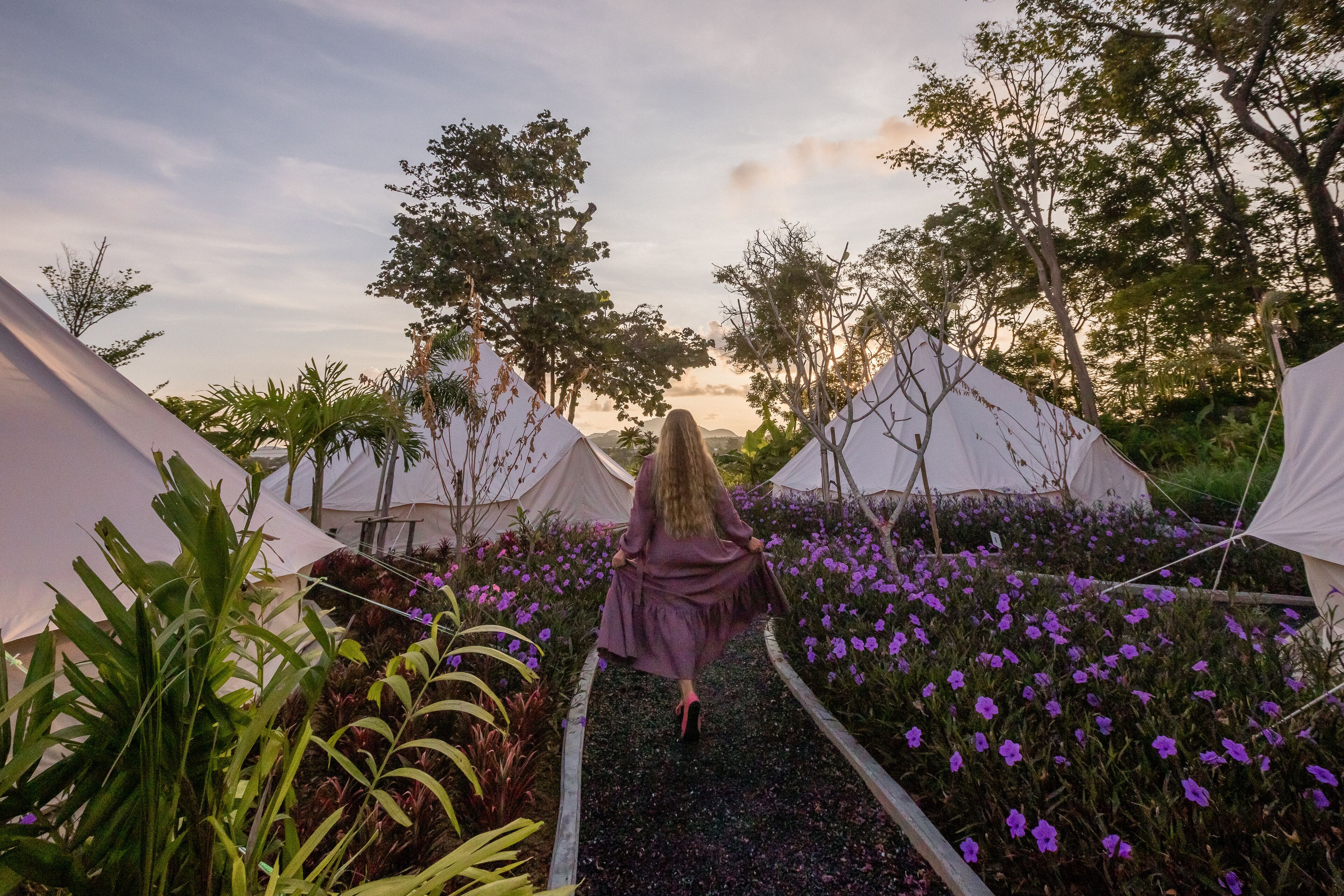 A pathway leading through a garden with tents and purple flowers.