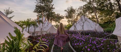 A pathway leading through a garden with tents and purple flowers.