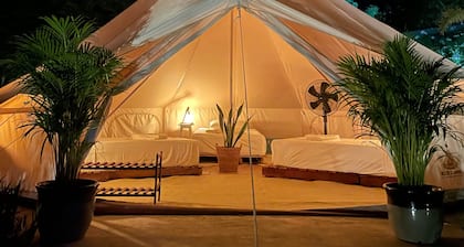 Roost Glamping