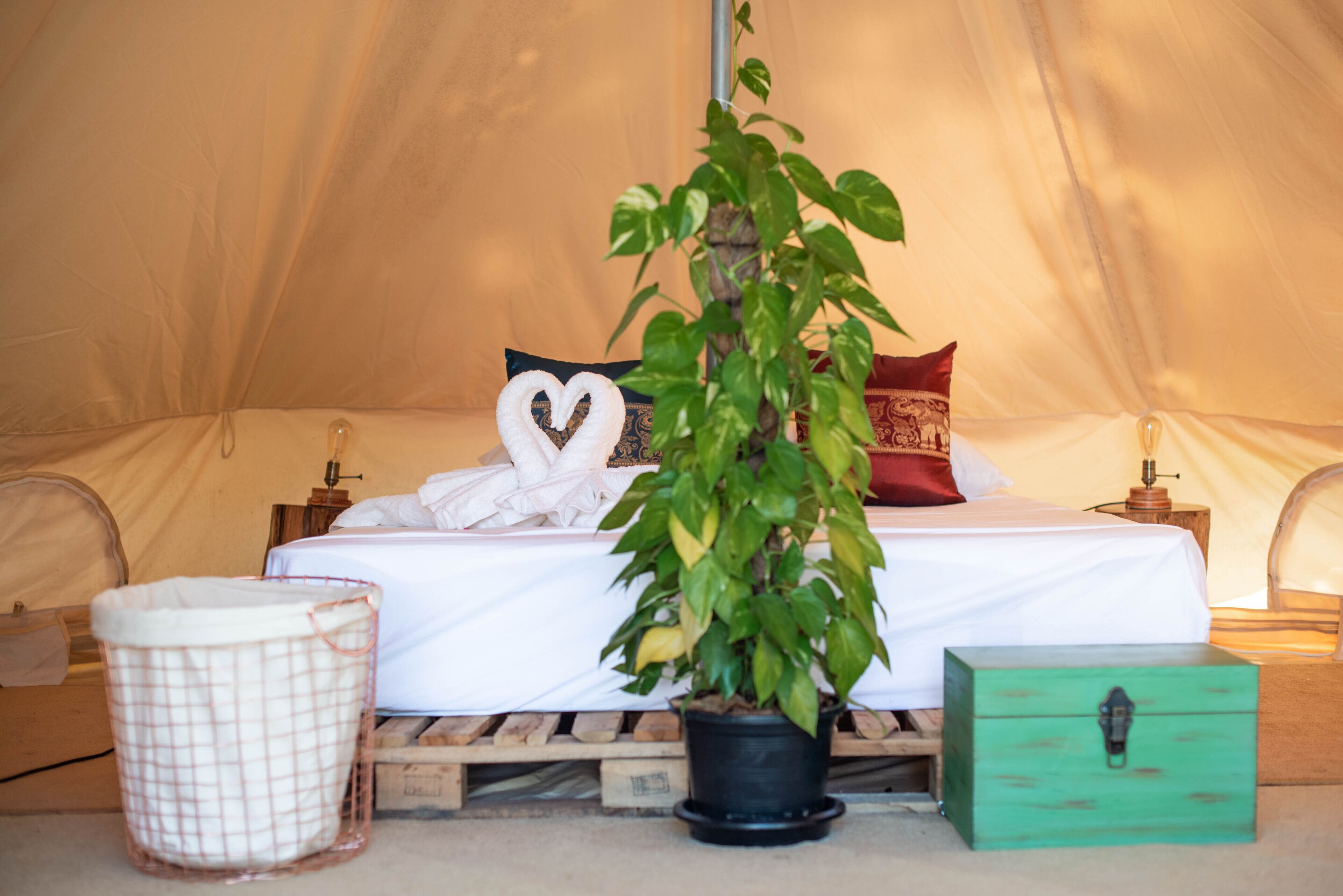 A tented room with a bed, a heart-shaped towel, a potted plant, a laundry basket, and a green box.