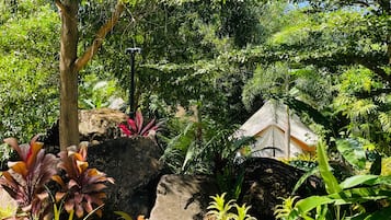 Vue sur le jardin