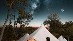 A tent with a lit interior, surrounded by trees and a night sky with stars and a moon. - Roost Glamping (Rawai)