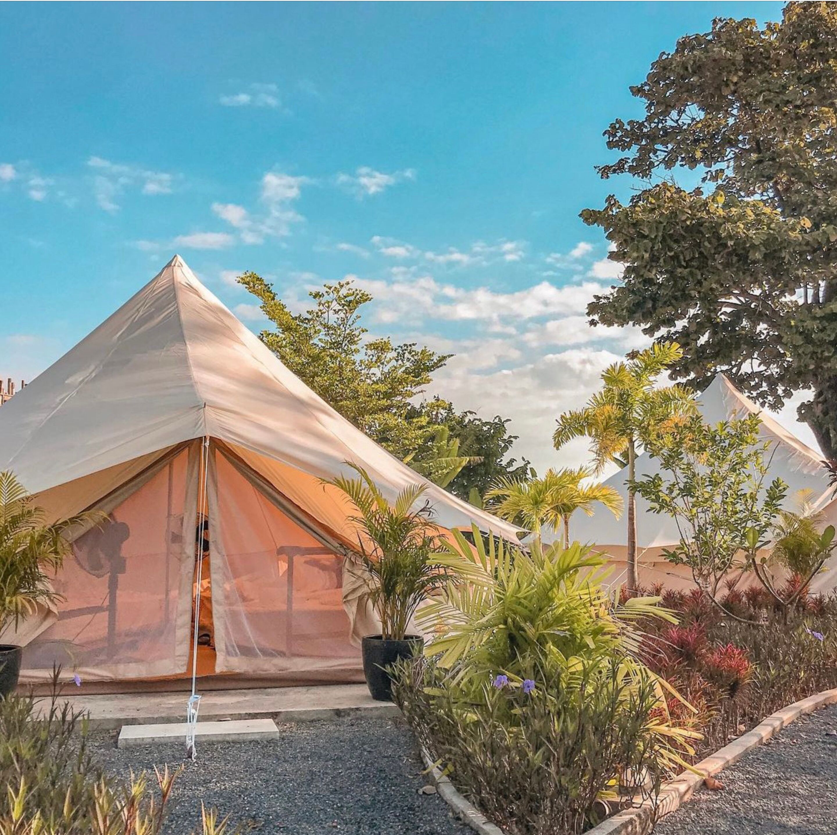 A large, pyramid-shaped tent with a transparent side, surrounded by tropical plants and trees.