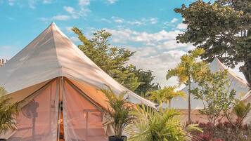 A large, pyramid-shaped tent with a transparent side, surrounded by tropical plants and trees.
