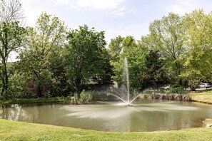 Surrounding a tranquil water fountain, lush greenery creates a serene environment.