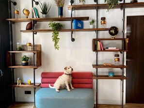 A dog sitting on a red sofa in a room with multiple wooden shelves containing books, plants, and decorative items.