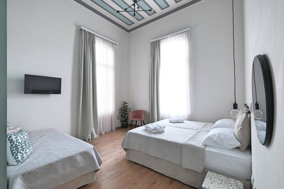 A bedroom with two beds, a flat-screen TV, a potted plant, and a chair.