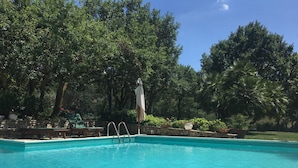 A rectangular swimming pool with clear blue water, surrounded by lush greenery and trees. - Villa Misita (Prizzi)