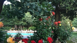 A garden with a variety of flowers and a pool in the background. - Villa Misita (Prizzi)
