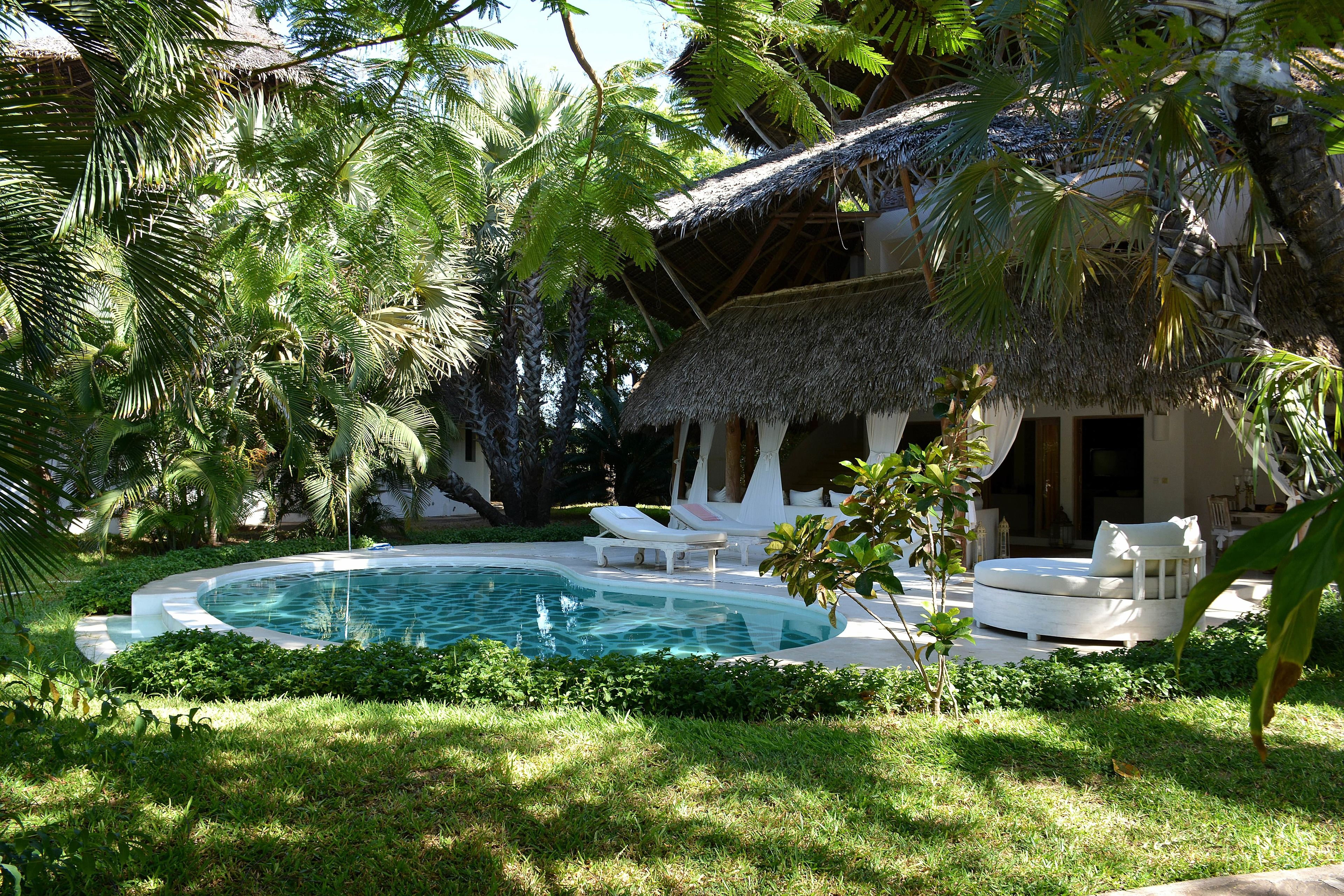A pool surrounded by lush greenery and a thatched-roof structure.