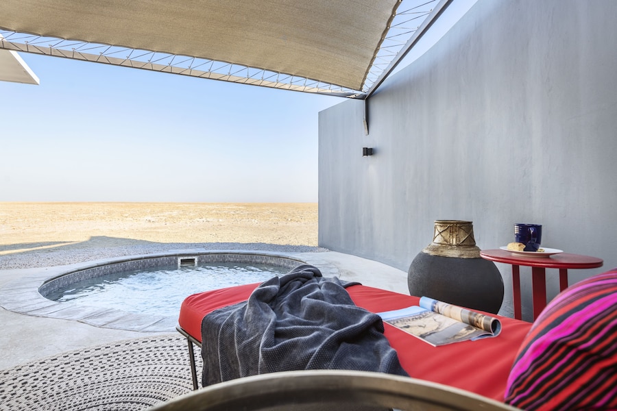 Etosha King Nehale in Etosha area, Namibia
