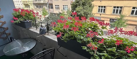 Chambre quadruple Confort | Terrasse/patio