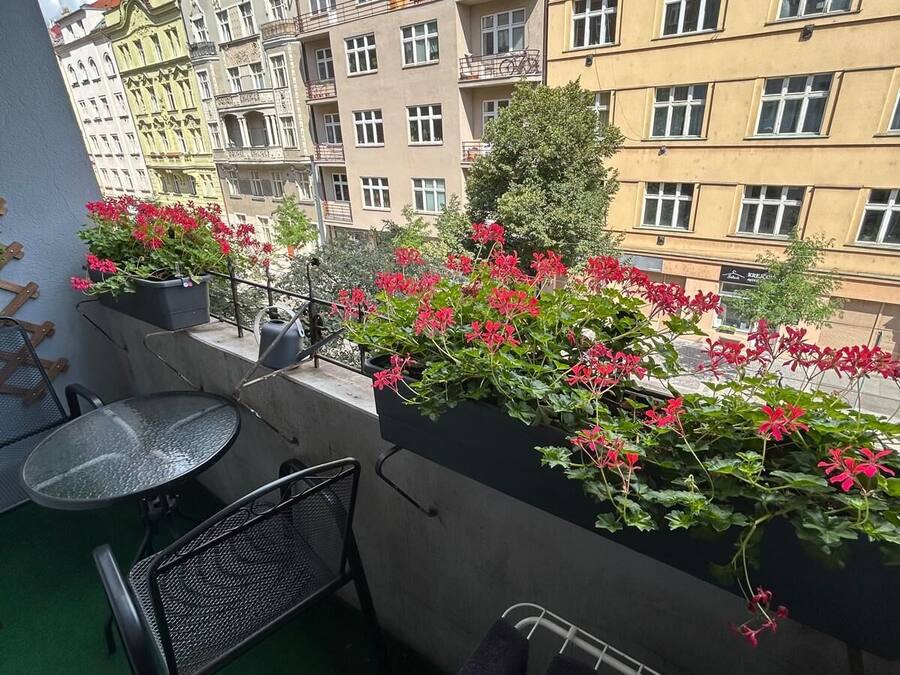 Habitación cuádruple Confort | Terraza o patio