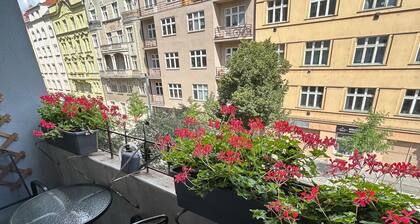 Apartment Four Year Seasons